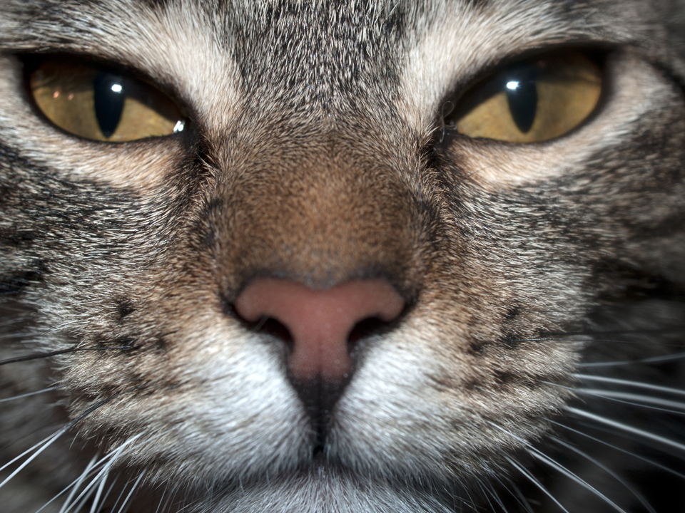 It’s Been a Long Time! (A Few&nbsp;Updates)